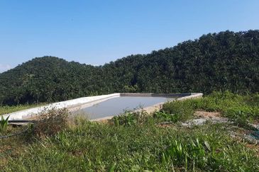 Rembau @ Negeri Sembilan 81 Acres Agricultural Land For Sale 