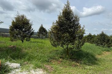 Taman Desa Cemerlang