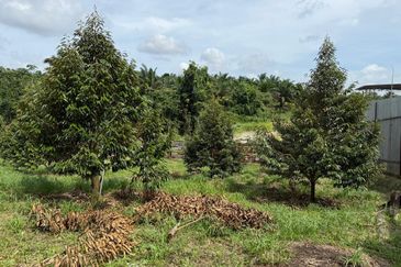 Taman Desa Cemerlang