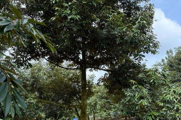 Taman Desa Cemerlang