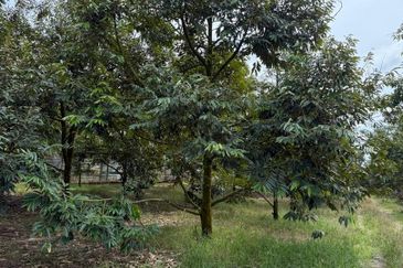 Taman Desa Cemerlang