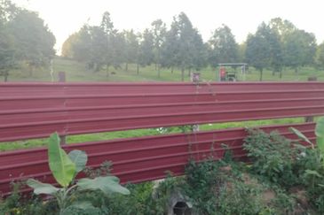 Simpang Renggam @ Johor 42.5 acres Agricultural Land For Sale