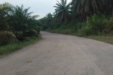 Simpang Renggam @ Johor 42.5 acres Agricultural Land For Sale
