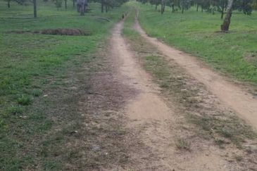 Simpang Renggam @ Johor 42.5 acres Agricultural Land For Sale