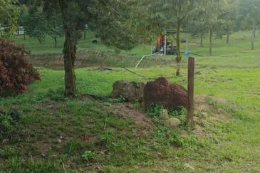 Simpang Renggam @ Johor 42.5 acres Agricultural Land For Sale