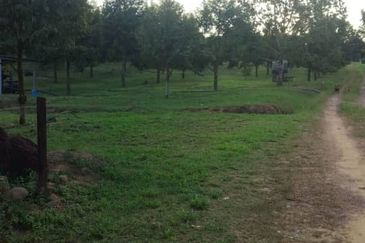 Simpang Renggam @ Johor 42.5 acres Agricultural Land For Sale