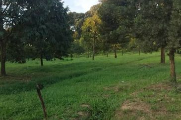 Simpang Renggam @ Johor 42.5 acres Agricultural Land For Sale