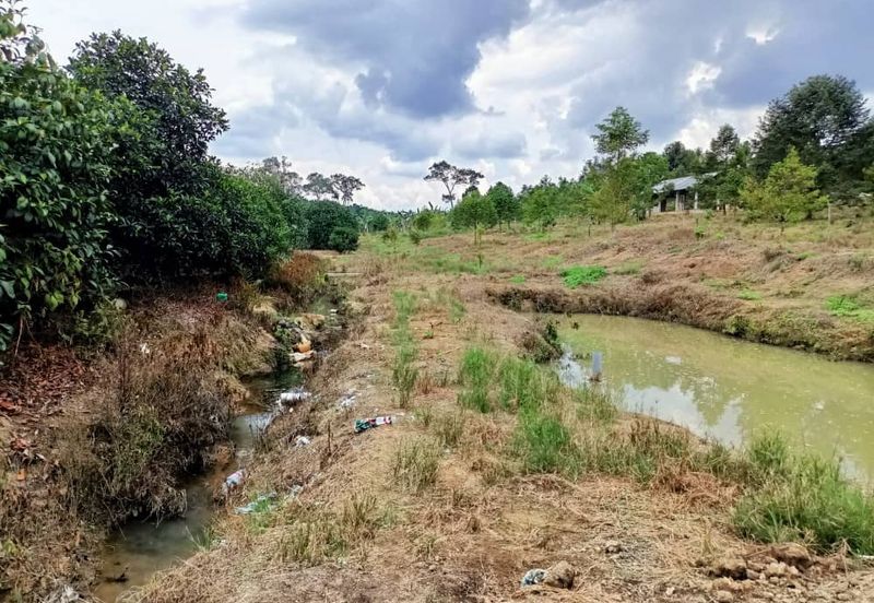 Mukim Ulu Sungai Johor @ Kota Tinggi (2 adjoining plots) 10 Acres Agricultural Land For Sale