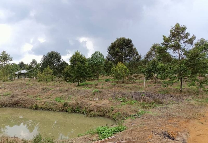 Mukim Ulu Sungai Johor @ Kota Tinggi (2 adjoining plots) 10 Acres Agricultural Land For Sale