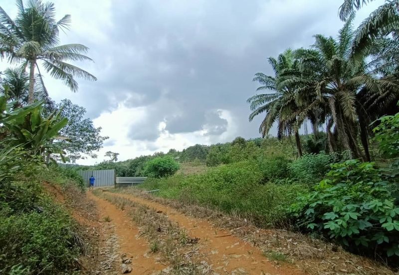 Mukim Ulu Sungai Johor @ Kota Tinggi (2 adjoining plots) 10 Acres Agricultural Land For Sale