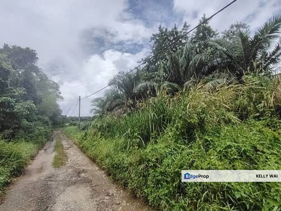 Sungai Tiram, Ulu Tiram @ Johor 15 acres Medium Industrial Land For Sale, Johor, Ulu Tiram