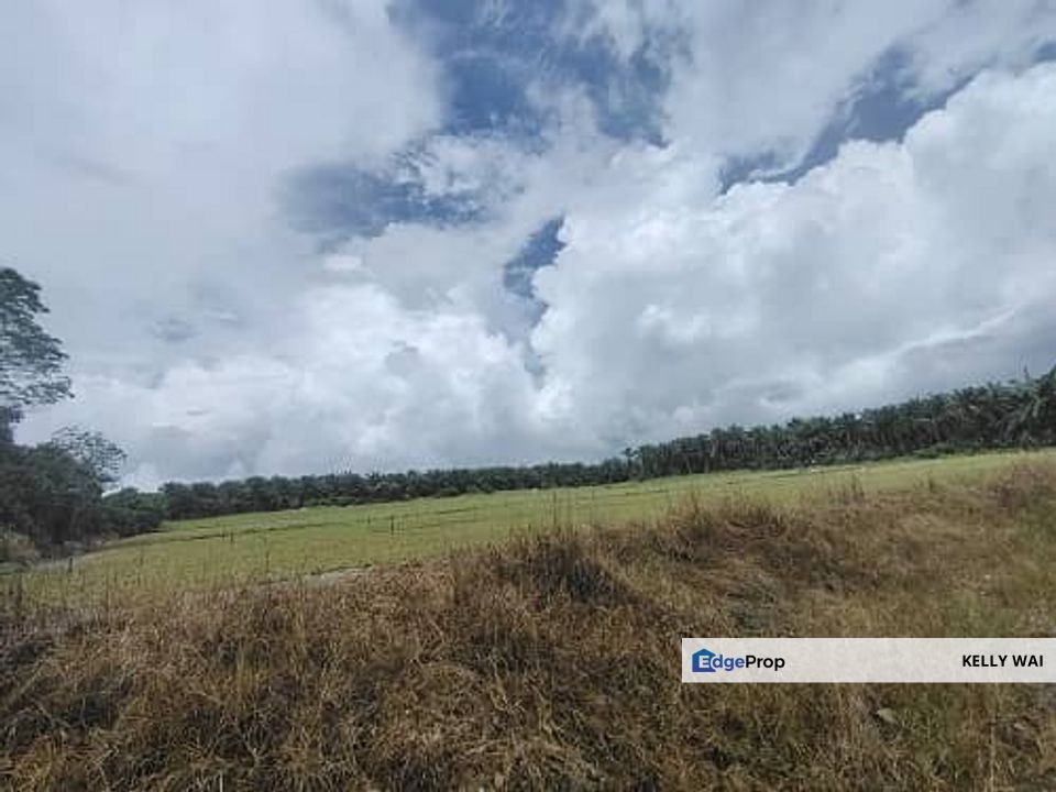 Sungai Tiram, Ulu Tiram @ Johor 15 acres Medium Industrial Land For Sale, Johor, Ulu Tiram