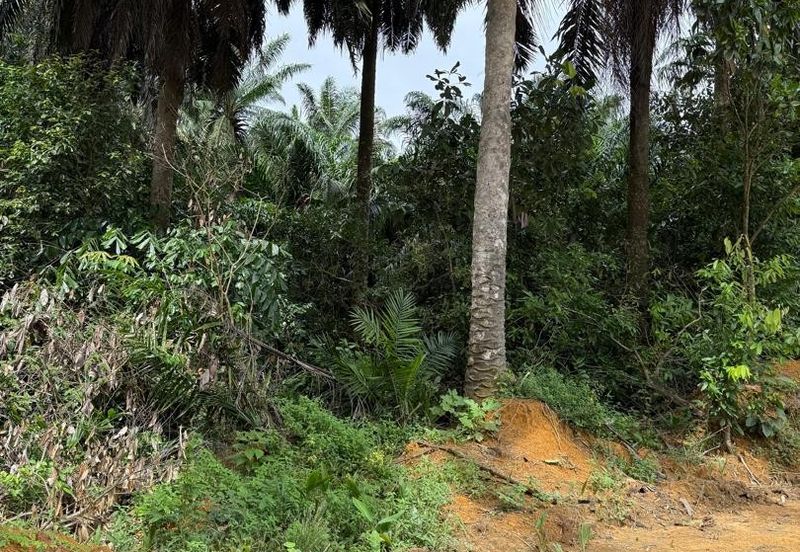 Kawasan Perindustrian Seelong