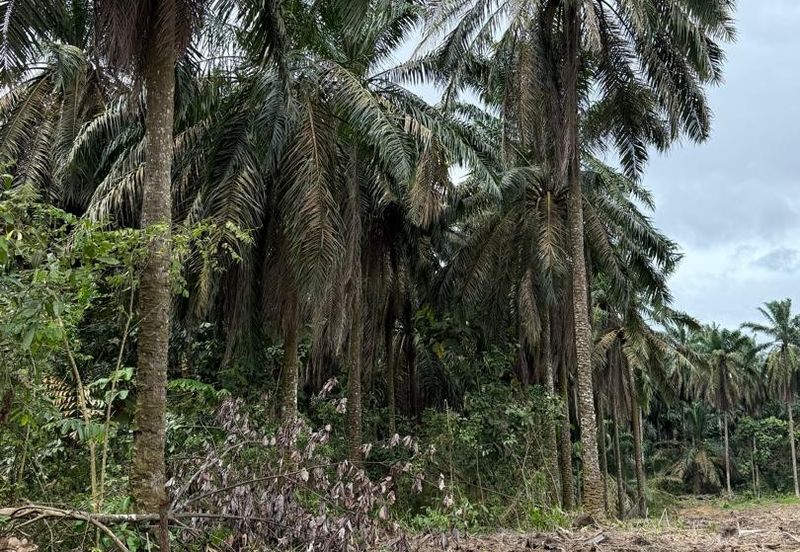 Kawasan Perindustrian Seelong