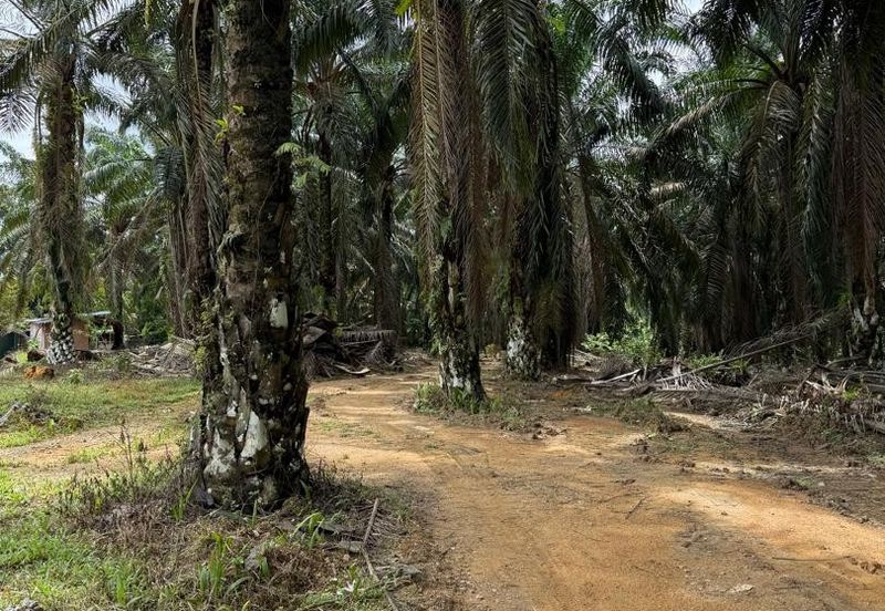 Kawasan Perindustrian Seelong