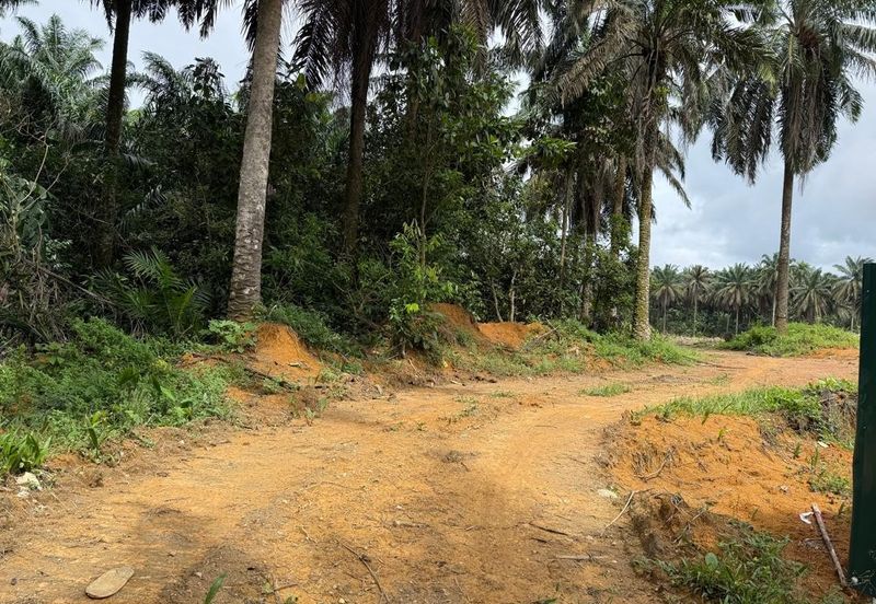 Kawasan Perindustrian Seelong