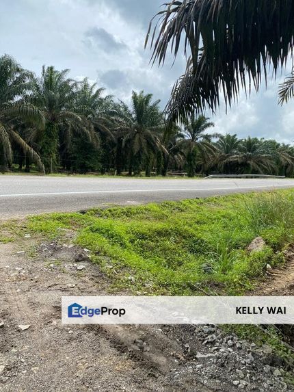 Kota Tinggi @ Johor 32 Acres Agricultural Land For Sale, Johor, Ulu Tiram