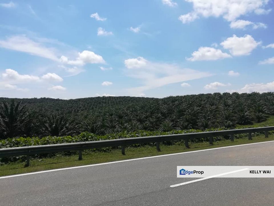 Johor @ Kulai 450 Acres Agricultural Land For Sale, Johor, Kulai