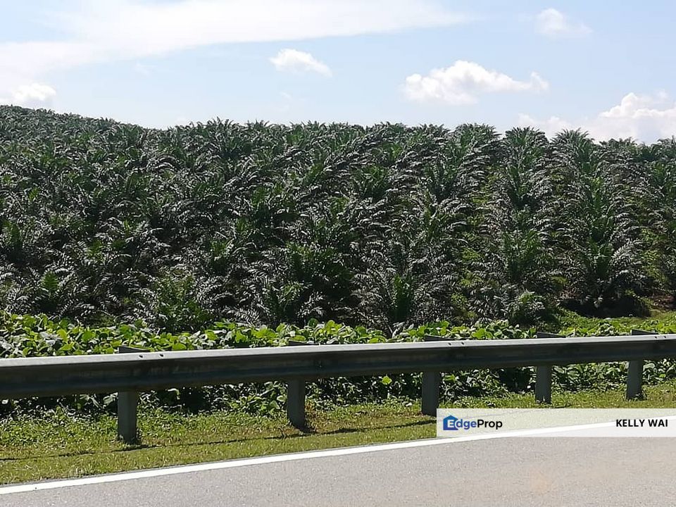 Johor @ Kulai 450 Acres Agricultural Land For Sale, Johor, Kulai