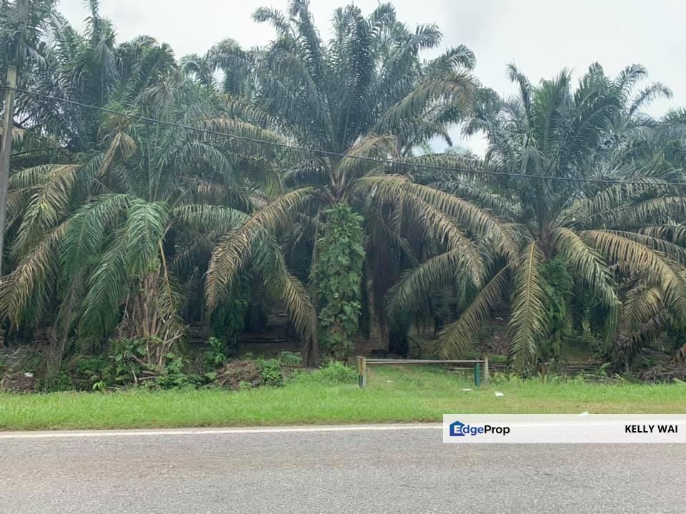 Simpang Renggam @ Johor 320 Acres Agricultural Land For Sale , Johor, Kluang