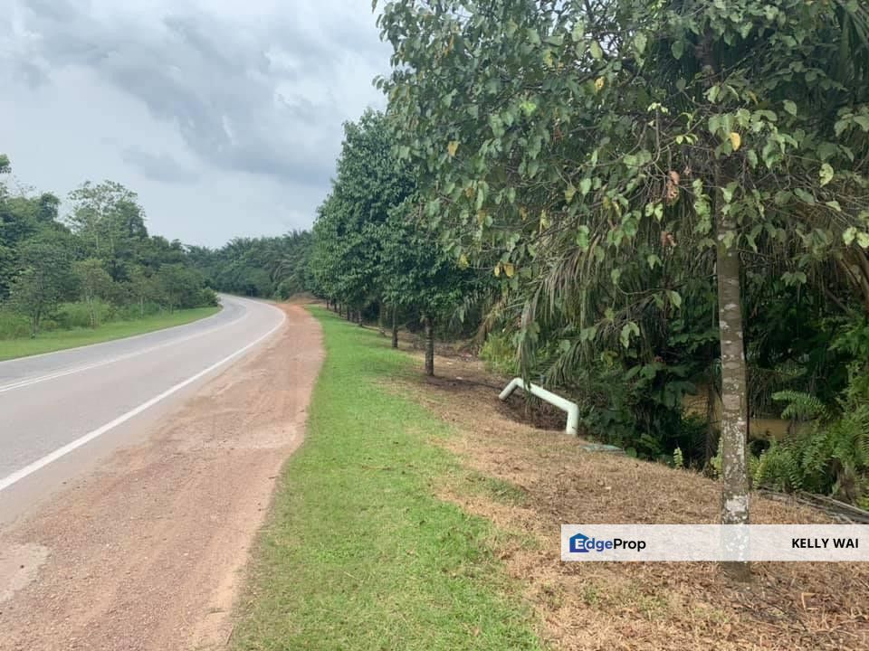 Simpang Renggam @ Johor 320 Acres Agricultural Land For Sale , Johor, Kluang