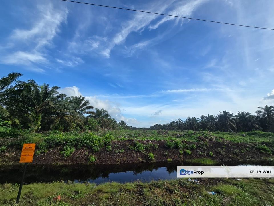 Mukim Rimba Terjun @ Pontian , Johor 5.772 Acres Agriculture Land For Sale, Johor, Pontian