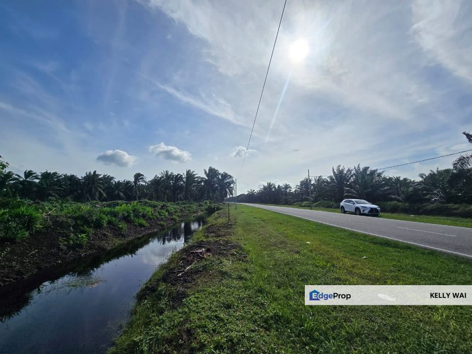 Mukim Rimba Terjun @ Pontian , Johor 5.772 Acres Agriculture Land For Sale, Johor, Pontian
