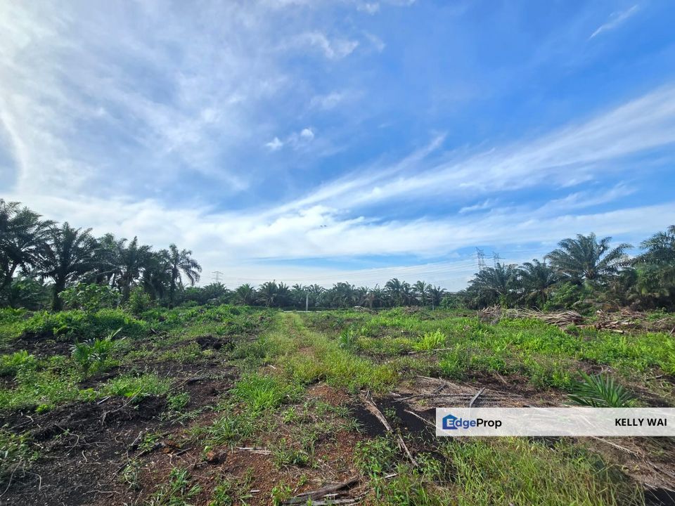 Mukim Rimba Terjun @ Pontian , Johor 5.772 Acres Agriculture Land For Sale, Johor, Pontian