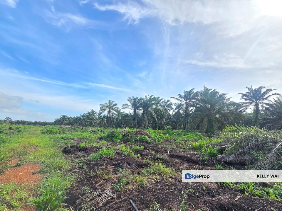 Mukim Rimba Terjun @ Pontian , Johor 5.772 Acres Agriculture Land For Sale, Johor, Pontian