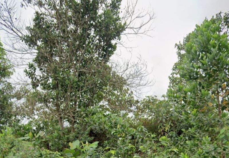 Taman Industri Kulai