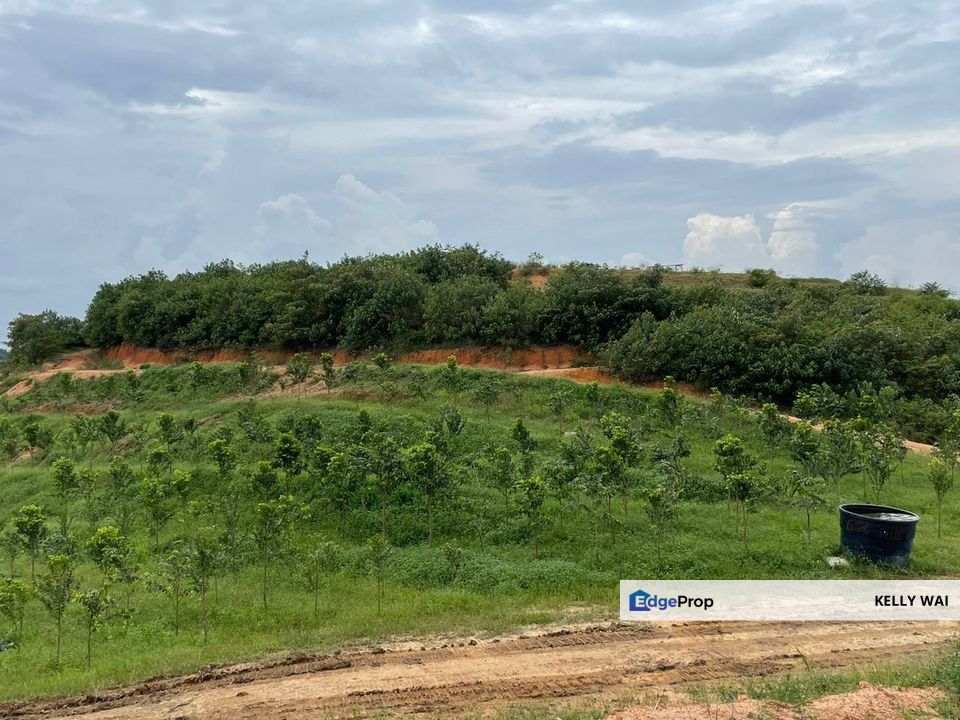 Roscote @ Johor 8 Acres Agricultural Land For Sale, Johor, Senai