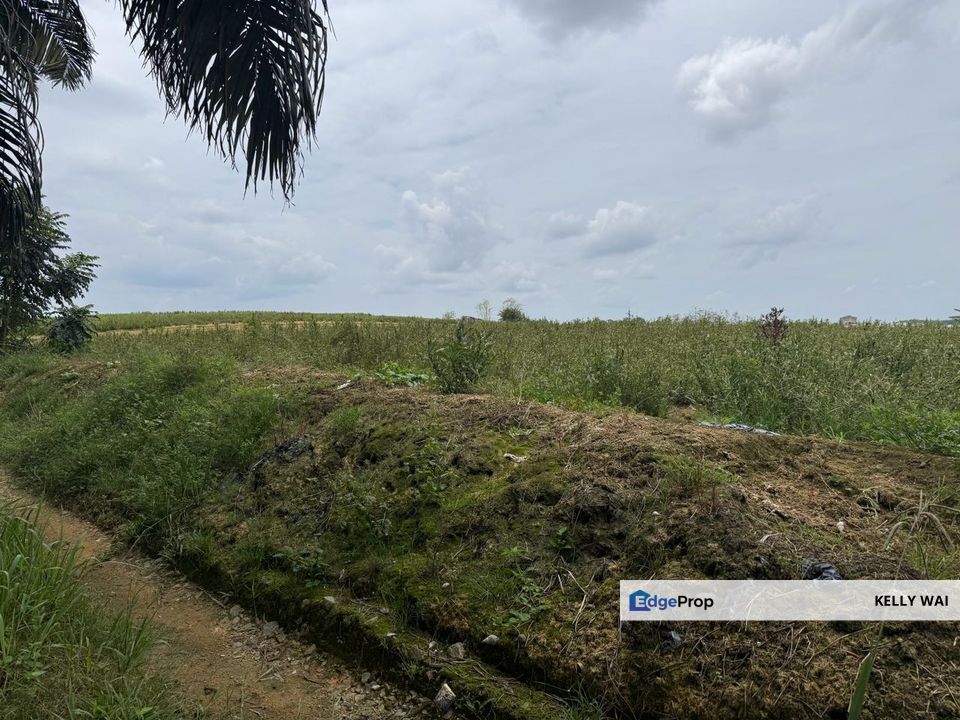 Senai @ Johor 6.35 Acres Agricultural Land Zoning Industrial For Sale, Johor, Kulai