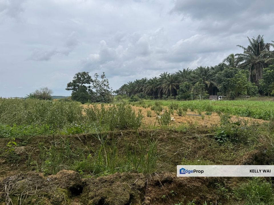 Senai @ Johor 6.35 Acres Agricultural Land Zoning Industrial For Sale, Johor, Kulai