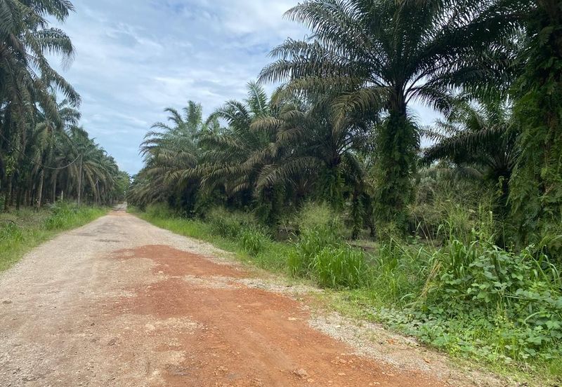 Kota Tinggi @ Johor 9.5 acres Agricultural Land For Sale 