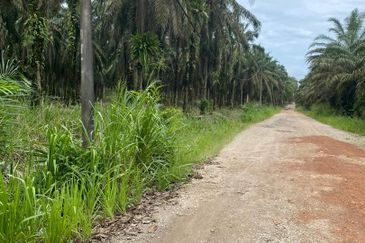Kota Tinggi @ Johor 9.5 acres Agricultural Land For Sale 