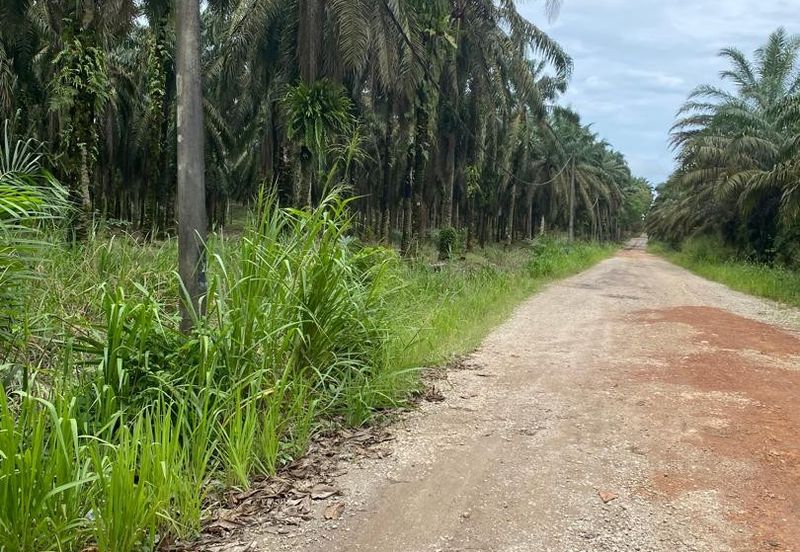 Kota Tinggi @ Johor 9.5 acres Agricultural Land For Sale 