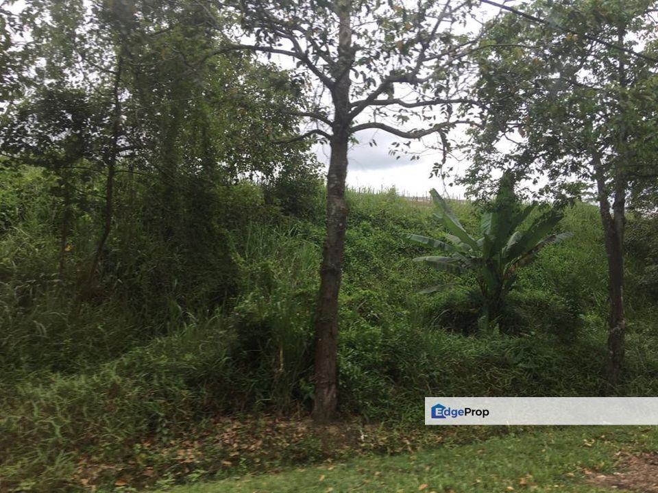 Sedenak @ Johor 168 Acres Agricultural Land Zoning Light Industry Land For Sale, Johor, Kulai
