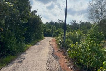 Tanjung Langsat @ Johor 120 Acres Agricultural Land Zoning Commercial Land For Sale 