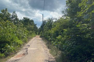 Tanjung Langsat @ Johor 120 Acres Agricultural Land Zoning Commercial Land For Sale 