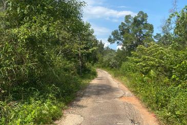 Tanjung Langsat @ Johor 120 Acres Agricultural Land Zoning Commercial Land For Sale 