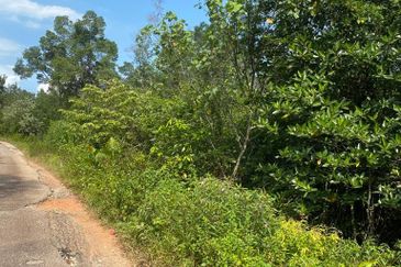 Tanjung Langsat @ Johor 120 Acres Agricultural Land Zoning Commercial Land For Sale 