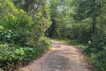 Tanjung Langsat @ Johor 120 Acres Agricultural Land Zoning Commercial Land For Sale 