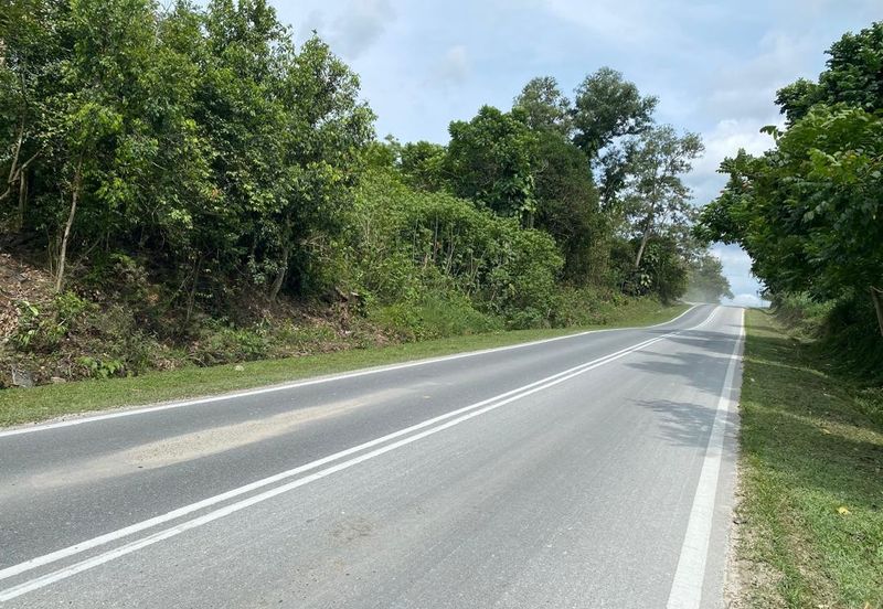 Ban Foo @ Ulu Tiram 11 Acres Agricultural Land Can Convert Industrial Land For Sale