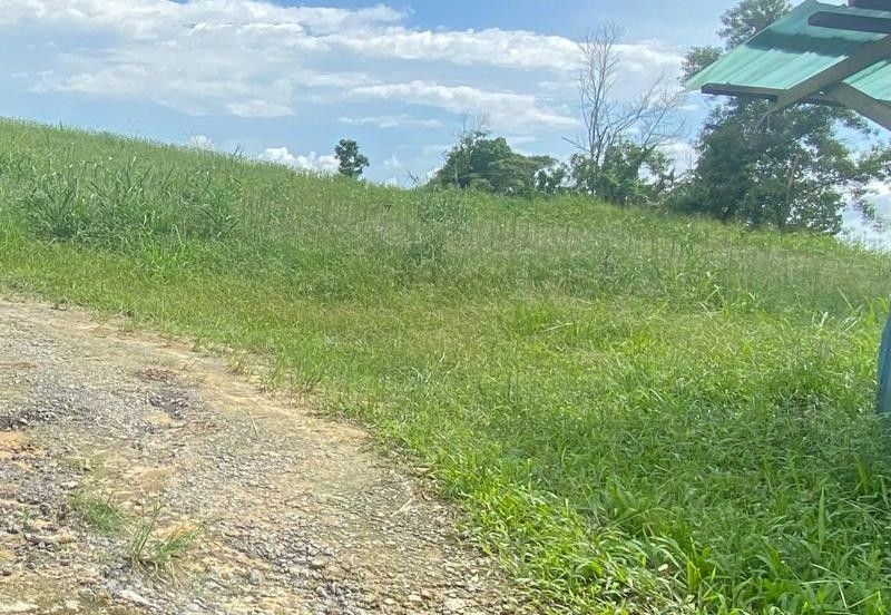 Ban Foo @ Ulu Tiram 11 Acres Agricultural Land Can Convert Industrial Land For Sale