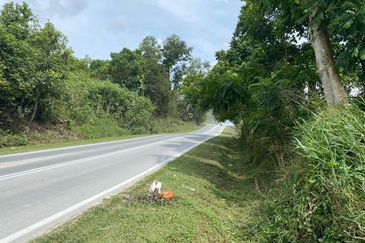 Ban Foo @ Ulu Tiram 11 Acres Agricultural Land Can Convert Industrial Land For Sale