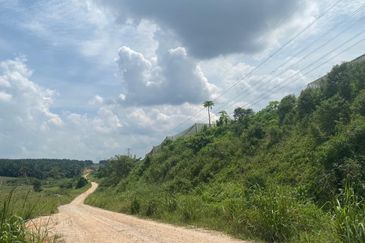 Desa Idaman @ Senai 9 Acres Agricultural Land Can Convert Industrial Land For Sale