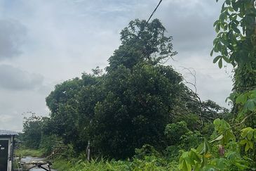 Jalan Tanjung Kupang @ Gelang Patah 4 acres Residential Land For Sale