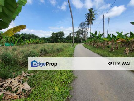 Kampung Pok @ Tanjung Kupang 2.9 acres Agricultural Land (Can convert to residential land) For Sale , Johor, Johor Bahru