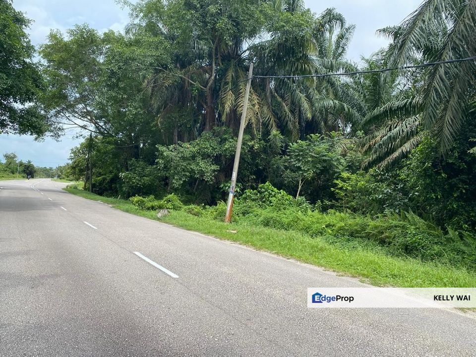 Gelang Patah @ Johor 7 acres Agricultural Land (Can convert to residential land) For Sale , Johor, Gelang Patah