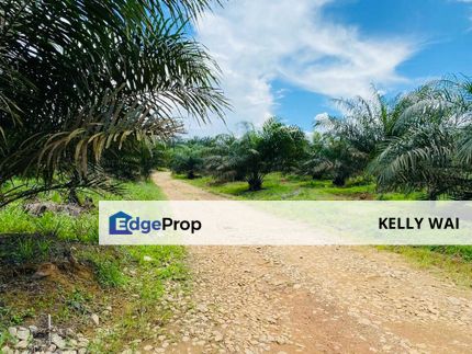 Roscote @ Senai, Kulai 9 Acres Agricultural Land For Sale , Johor, Senai